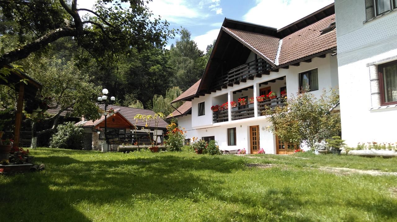 Гостевой дом Pensiunea Iulia Бран-5