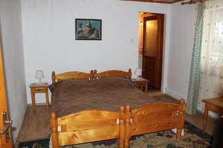 Гостевой дом Pensiunea Iulia Бран Двухместный номер с 1 кроватью или 2 отдельными кроватями-2