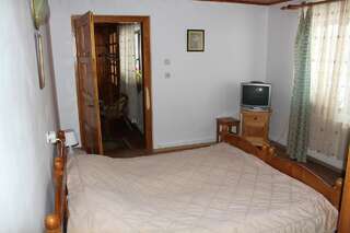 Гостевой дом Pensiunea Iulia Бран Двухместный номер с 1 кроватью или 2 отдельными кроватями-4