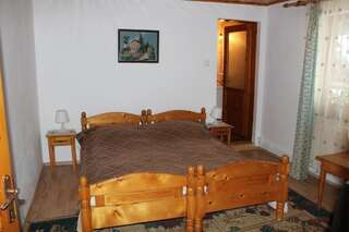 Гостевой дом Pensiunea Iulia Бран Двухместный номер с 1 кроватью или 2 отдельными кроватями-16