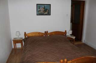 Гостевой дом Pensiunea Iulia Бран Двухместный номер с 1 кроватью или 2 отдельными кроватями-17