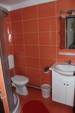 Гостевой дом Pensiunea Iulia Бран Двухместный номер с 1 кроватью или 2 отдельными кроватями-23