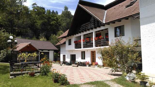 Гостевой дом Pensiunea Iulia Бран-21