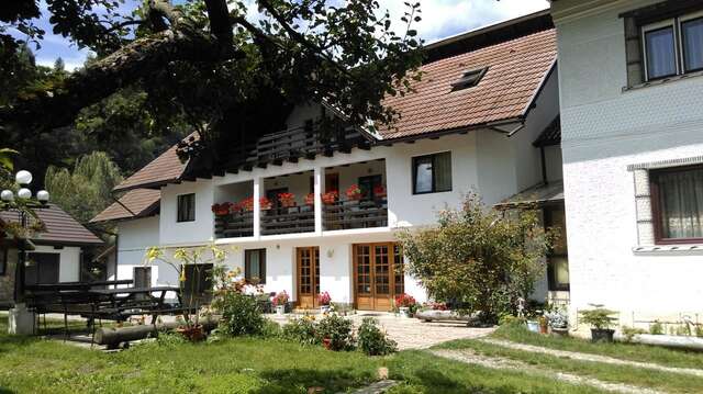 Гостевой дом Pensiunea Iulia Бран-22